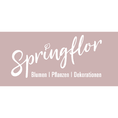 image of SPRINGFLOR B. Sollberger GmbH 