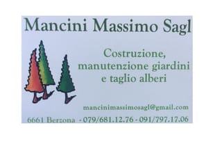 Mancini Massimo Sagl image
