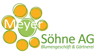 Bild Meyer Söhne AG