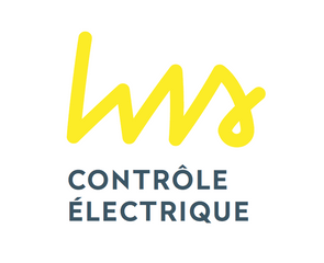 LWS Contrôle électrique image