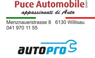 Bild von Puce Automobile GmbH