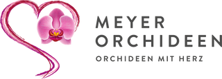 Bild Meyer Orchideen AG