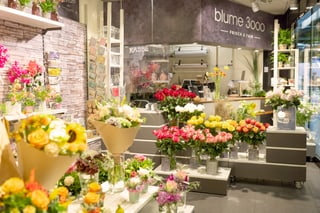 image of blume 3000 | Bern 