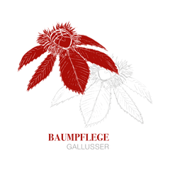 Photo Baumpflege-Gallusser