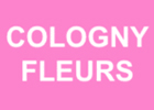 Photo Cologny-Fleurs