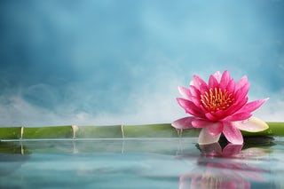 Immagine lotus-wellness-Massage