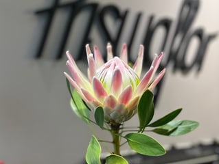 Bild Blumen Prismaflor
