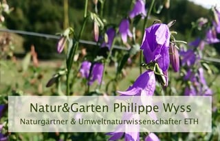 Bild Natur&Garten Philippe Wyss