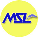 MSL Multi Services Lemania Sàrl image