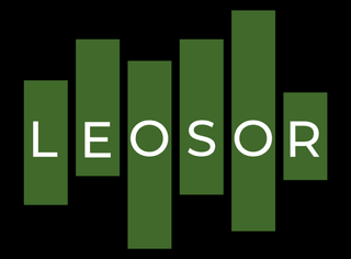 Bild von LEOSOR GmbH