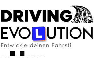 Driving Evolution GmbH image