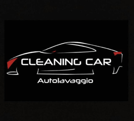 Bild Cleaning Car