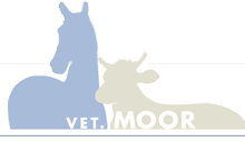 Bild Tierarztpraxis Moor AG