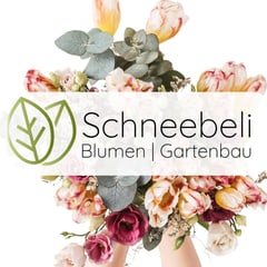 Bild Schneebeli | Blumen | Gartenbau