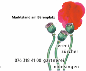 Photo Blumen & Pflanzen Vreni Zürcher