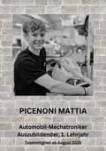 Picenoni Mattia